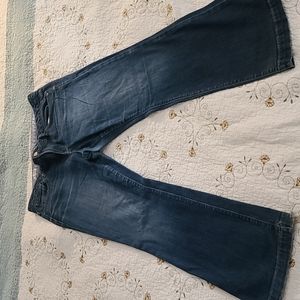 Gap 1969 Long & Lean 33/16r